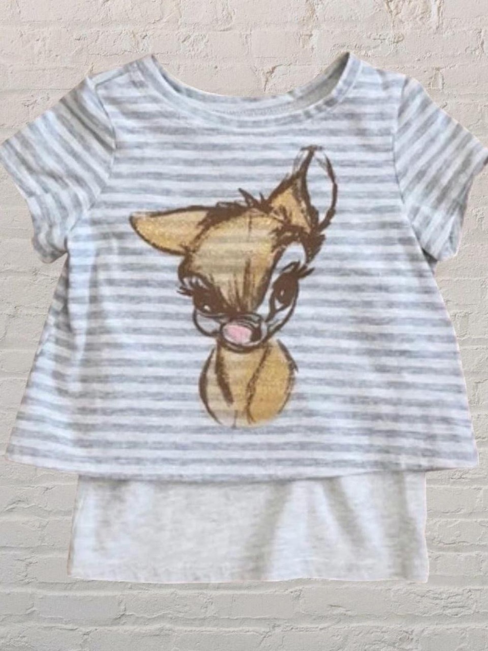 Disney Artist Collection Bambi 2PC Tee Shirt Set, 4T